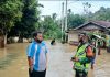 Suangai Aur Meluap, Puluhan Rumah di Desa Kotorayo Terendam Banjir