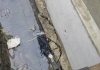 Dikerjakan Asal Jadi, Begini Kondisi Proyek Drainase Jalan M. Yamin
