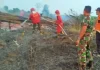 Meminimalisir Kabut Asap, Kodim 0420/Sarko Padamkan Api di Tengah Hutan